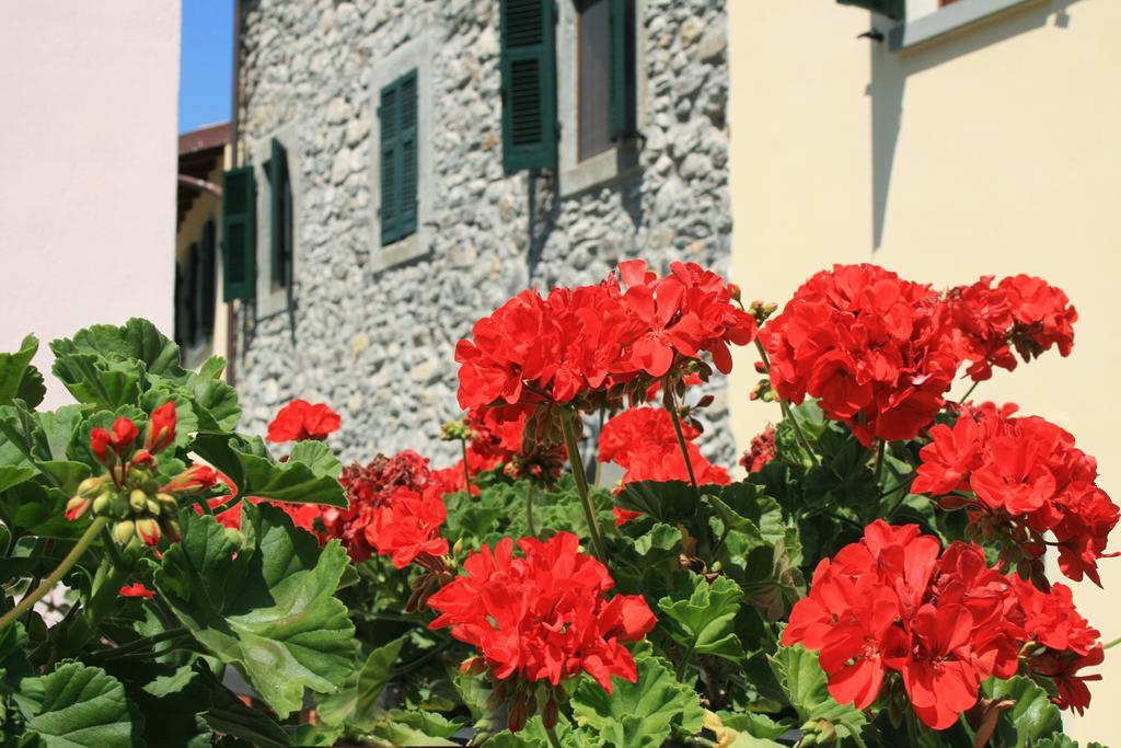 Ponte Del Vegnuti Guest House Fivizzano Exterior foto